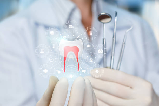Best Pediatric Dentistry  in Ovilla, TX